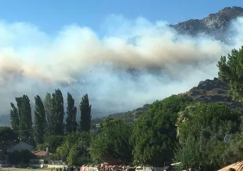 Balıkesir'de orman yangını