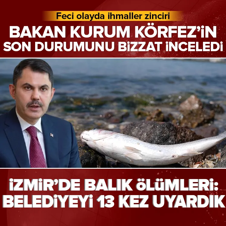 İzmirde balık ölümleri! Bakan Kurum: 13 kez uyardık