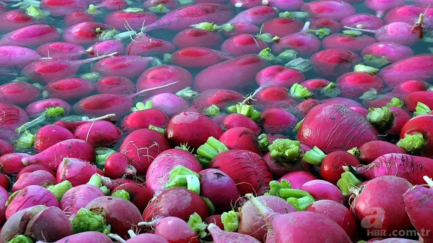 Kış aylarının kurtarıcısı: Tüketen hastalık nedir bilmiyor... 1