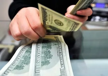 Dolar provokatörleri suspus oldu!