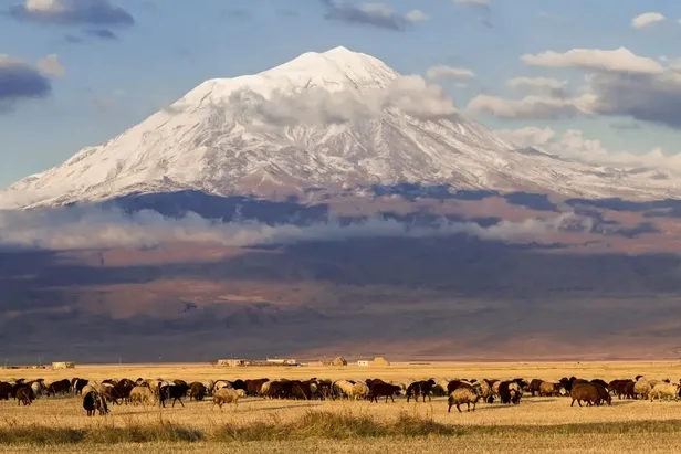 turkiyede-illere-gore-yasam-sureleri-cikti-kadin-erkek-ayri-ayri-hesaplandi-bir-numaraya-cok-sasiracaksiniz-1703779722462.jpeg Türkiye'de illere göre yaşam süreleri çıktı! Kadın-erkek ayrı ayrı hesaplandı! Bir numaraya çok şaşıracaksınız