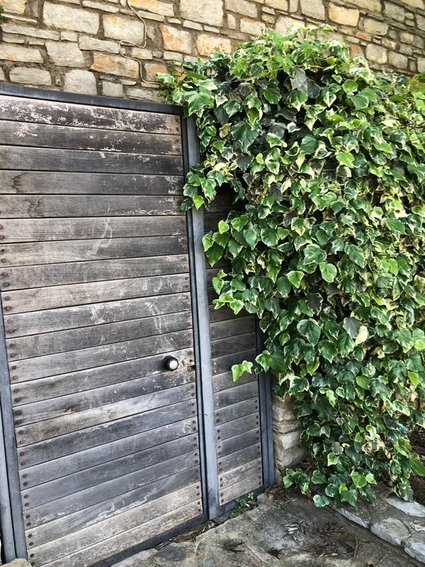 Firari Can Dündar’ın villa kaçırma operasyonu başarısız oldu