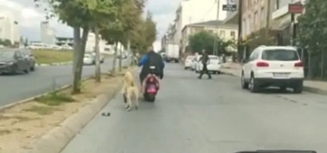 İstanbul’da şoke eden görüntüler! Köpeği motosikletine bağlayarak kilometrelerce sürükledi