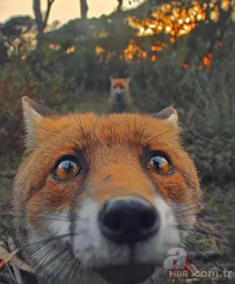 Böylesini daha önce hiç görmediniz 4