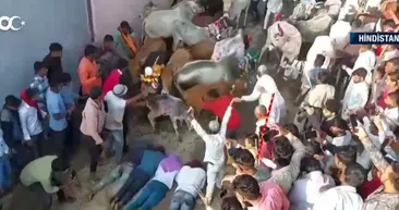 Sıra dışı gelenek! Şans getirsin diye öyle bir şey yapıyorlar ki...