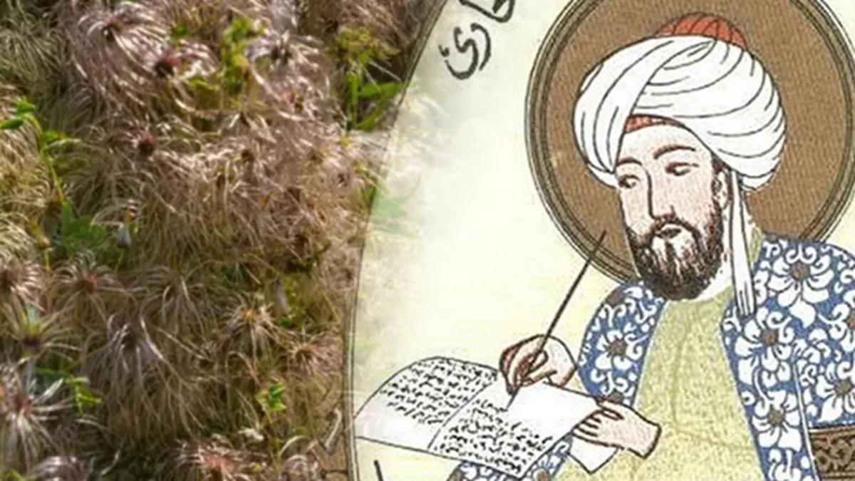 İbn-i Sina'nın reçetesinde 1 numarada! Vücudu baştan aşağı resetliyor...