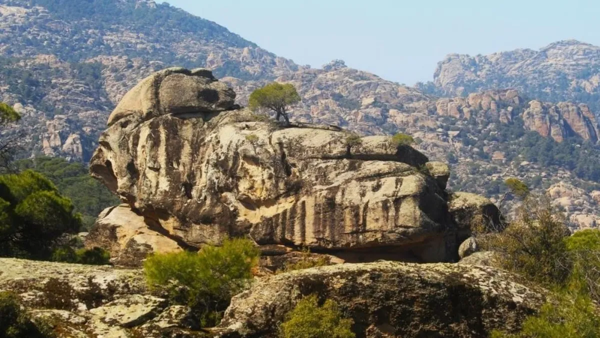 Aydın'daki o bölgede önemli keşif! Prehistorik Dönem'e ait