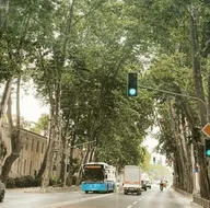 Çırağan’daki ağaç katliamının arkasında ne var? İBB İstanbul’un tarihi simgesine hançer sapladı