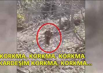 PKK'lıların teslim olduğu an!