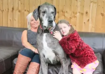 Dünyanın en uzun köpeği "Freddy" öldü