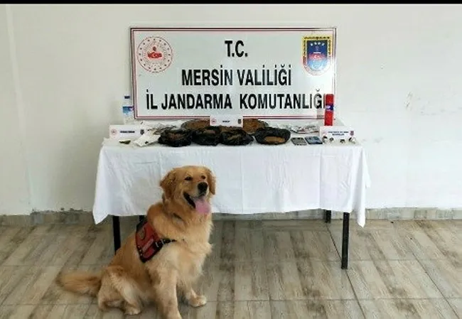 mersinde-1-kilo-620-gram-sentetik-uyusturucu-ele-gecirildi-1624627415460.jpg Mersin'de 1 kilo 620 gram sentetik uyuşturucu ele geçirildi - 2