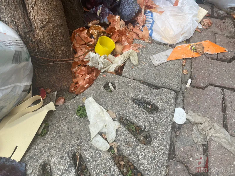 Maltepe çöplüğü: İşçiler greve gitti sokaklar pislik içinde! Uzman isimden korkutan koronavirüs uyarısı 14