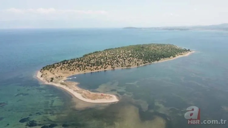 Hülya Avşar'ın hayali suya düştü! Çiçek Adası için rekor fiyat 1