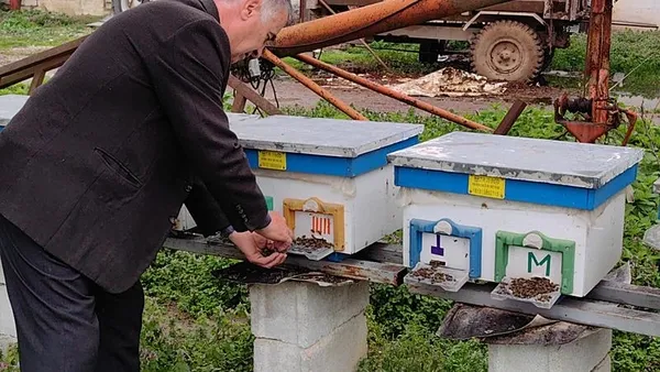 1708520071390.jpeg Korkutan olay! Kış uykusuna yatamadılar toplu halde ölüyorlar - 4
