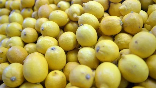 1710230494015.jpg Limonun şaşırtıcı faydası! İkiye kesip ensenize sürerseniz... - 2