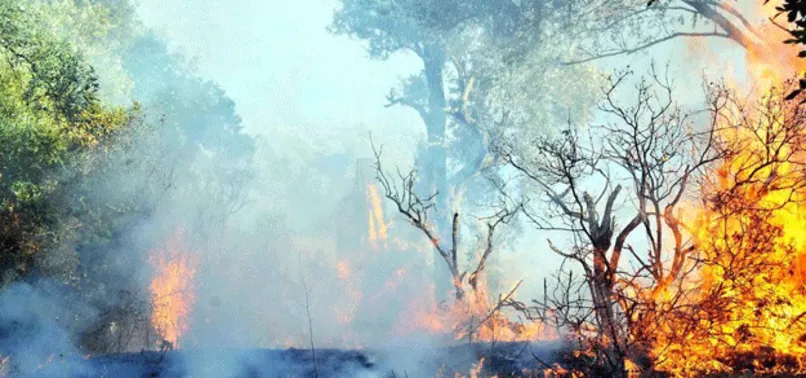 Antalya'da korkutan orman yangını