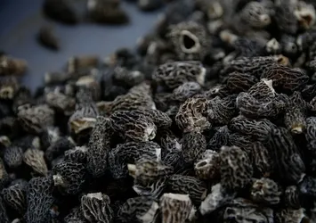 Talebe yetişilemiyor! Kilogramı 250 avro...