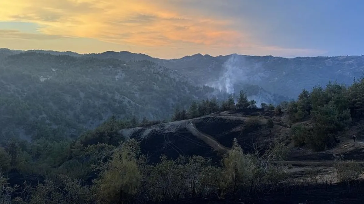 Kahramanmaraş'ta orman yangını! Kontrol altına alındı