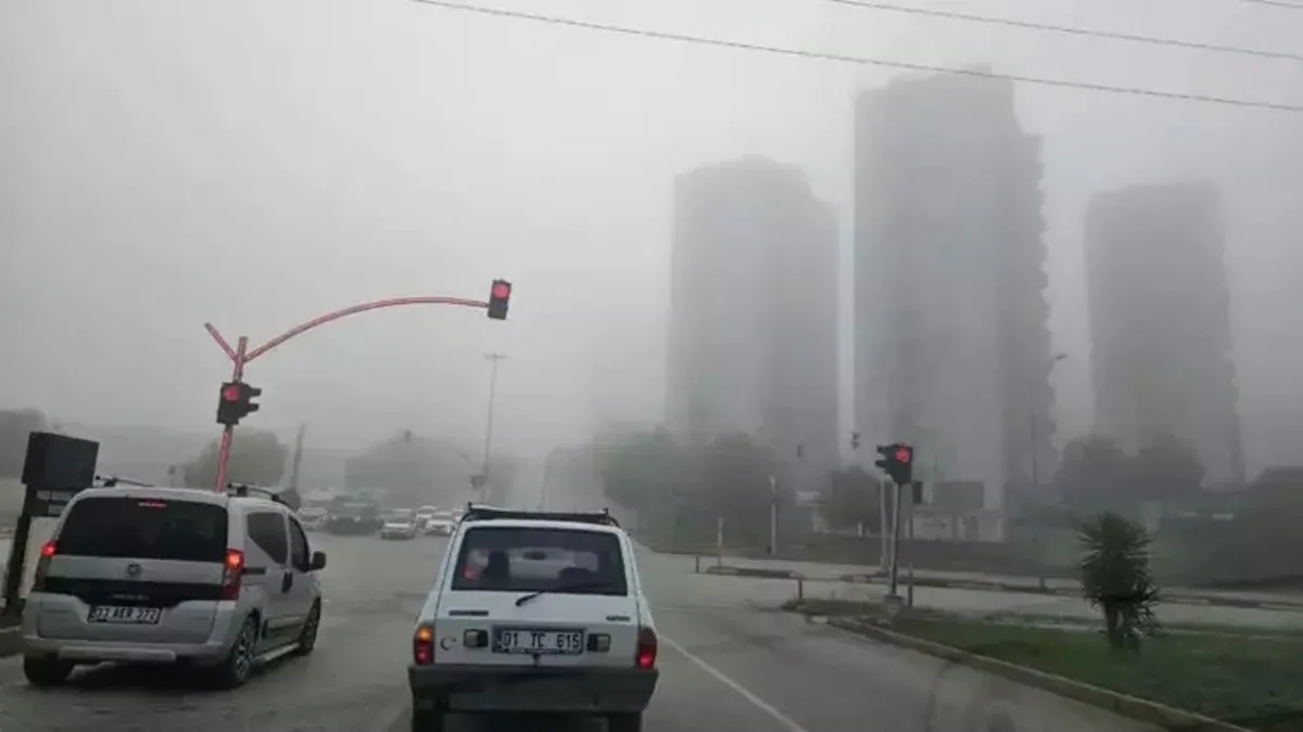 Adana'da sis etkili oldu