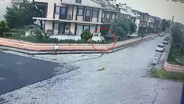 genc-kadin-dehseti-yasadi-evine-giren-tacizciden-kacarak-kurtuldu-1625521872181.jpeg Yalova'da dehşet anları! Balkondan evine girdi, genç kadın kaçarak kurtuldu - 5