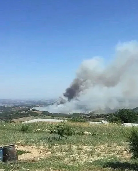 mersinde-korkutan-orman-yangini-1689087539661.jpg Mersin'deki orman yangını kontrol altında - 1