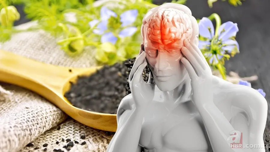 İbn-i Sina'nın unutulan migren tedavisi! Tek başına ağrınızı bıçak gibi kesecek 1