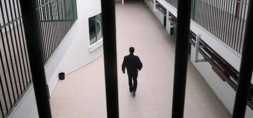 İnfaz düzenlemesinin ikinci bölümündeki 25 madde kabul edildi