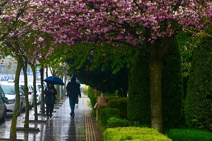 1745045757504.jpeg Meteoroloji'den birçok ile sağanak uyarısı (AA)