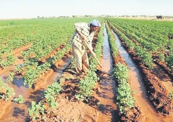 'Üretim Bakanlığı kurulsun'