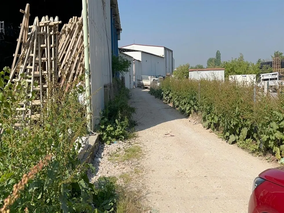 genc-avukati-olduren-saniktan-pes-dedirten-savunma-korkutmak-icin-ayaklarina-siktim-1790194672485.jpg Fotoğraf: DHA