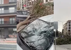 Çanakkale'yi fırtına vurdu! Ağaçlar devrildi balkon yıkıldı