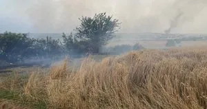 Edirne’de yangın paniği: Hepsi kül oldu!