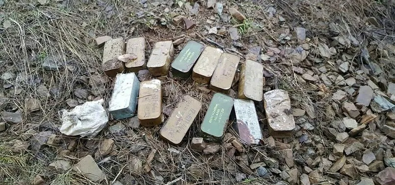 Hakkari'de 9 bin uçaksavar mermisi ele geçirildi