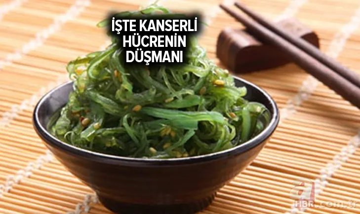 İşte kanseri tedavi eden besin! Mucizevi etkileri var 3