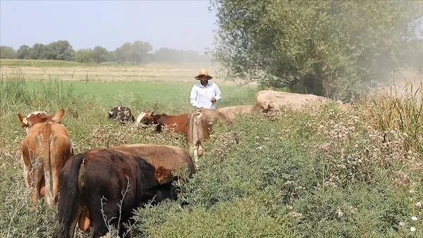 Kılıçdaroğlu'nun "depremzede çiftçiye yem verilmedi" yalanı çürütüldü! Bakanlık verilen destek miktarını açıkladı - 3