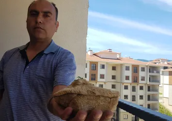 Doğa gezisine gitti 45 milyon yıllık fosil buldu