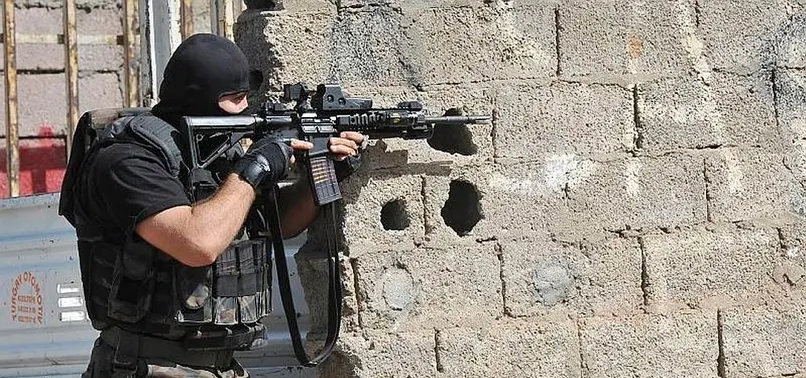 Terör örgütü DEAŞ'a "şubat" darbesi