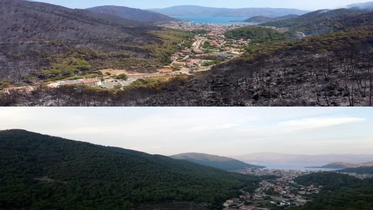 Marmaris’in yemyeşil doğası küle döndü! İşte yürek yakan manzara