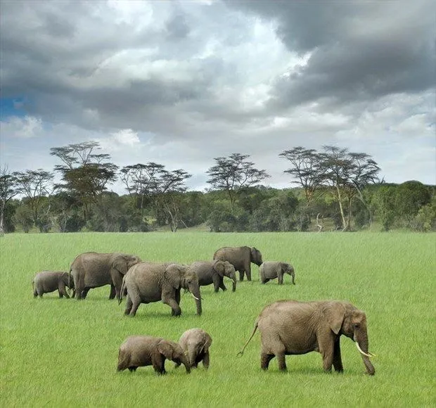 Türkiye'den vize istemeyen ülkeler hangileri 2019? İşte Türkiye'den vizesiz gidilen ülkeler