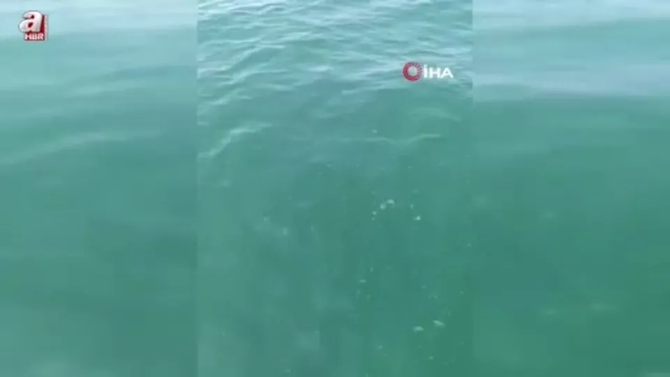 Depreme denizde yakalandılar