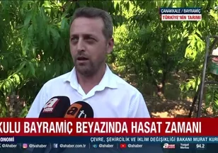 Türkiye'nin bereketli topraklarında üretim