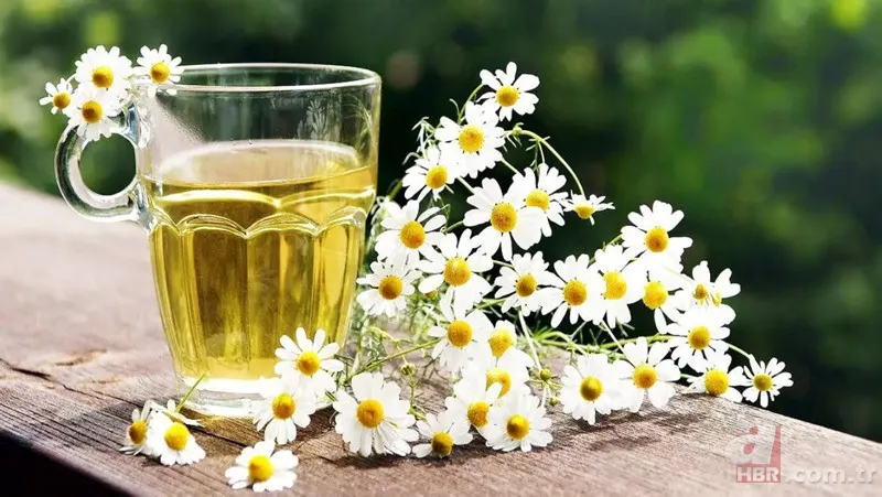 Sinir, stres ne varsa söküp atıyor! Bir fincanıyla psikolog etkisi yapacak! Tek yapmanız gereken: yatmadan 45 dakika önce... 9