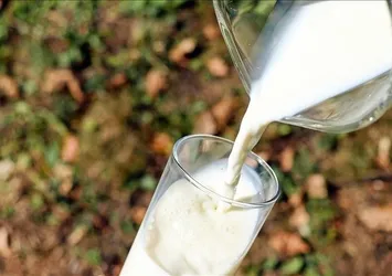 Sağlıklı uykunun yolu sütten geçiyor! Yatmadan önce süt içmenin faydaları...