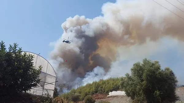 Antalya'daki orman yangını talimatını PKK vermiş! Yakalanan terörist itiraf etti - 1