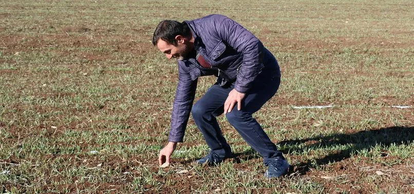 Tarlasında bulup, banka kasasında sakladığı 'gök taşı', müzede sergilenecek