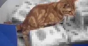 İstanbul’daki markette skandal görüntü