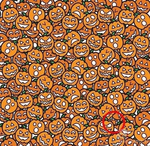 Bu zeka testi sosyal medyayı sallıyor! Detayları fark etmekte ne kadar dikkatlisiniz? 21