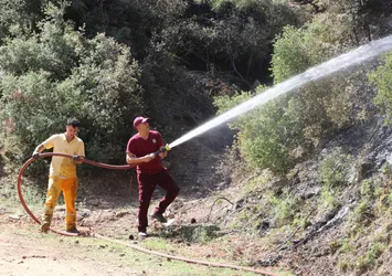 Denizli'deki orman yangınının nedeni belli oldu!
