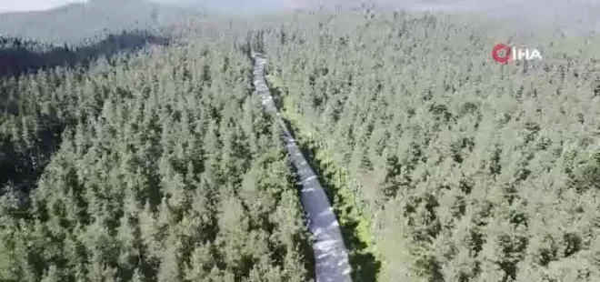 Sıcaktan bunalanların serinleme mekanı