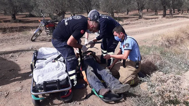 Traktör zeytin ağacına çarptı, kazada bir kişi yaralandı